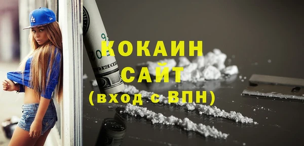 хмурый Няндома