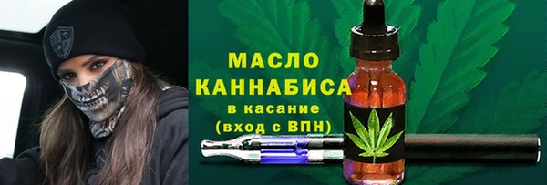 хмурый Няндома