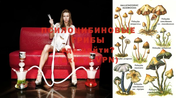 хмурый Няндома