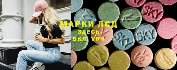 хмурый Няндома