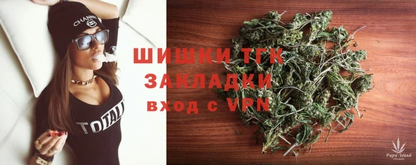 ГАЛЛЮЦИНОГЕННЫЕ ГРИБЫ Нязепетровск