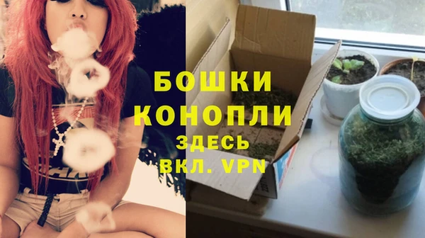 хмурый Няндома