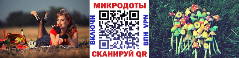 Галлюциногенные грибы Magic Shrooms  Купить закладки  Шадринск 